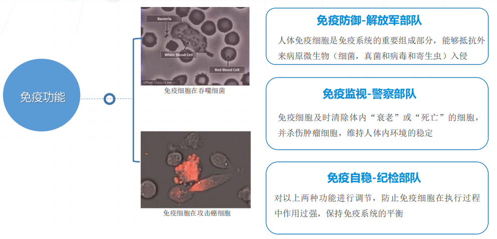 微信截图_20211109143900.png